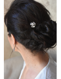 1 pic à chignon Palais